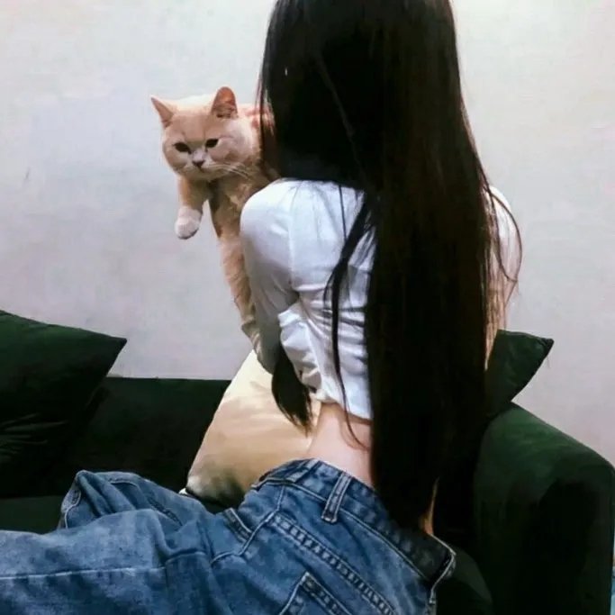 坏姐姐之拆婚联盟